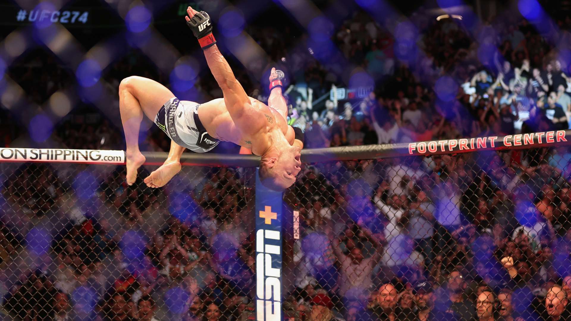 他们将继续 他们将继续