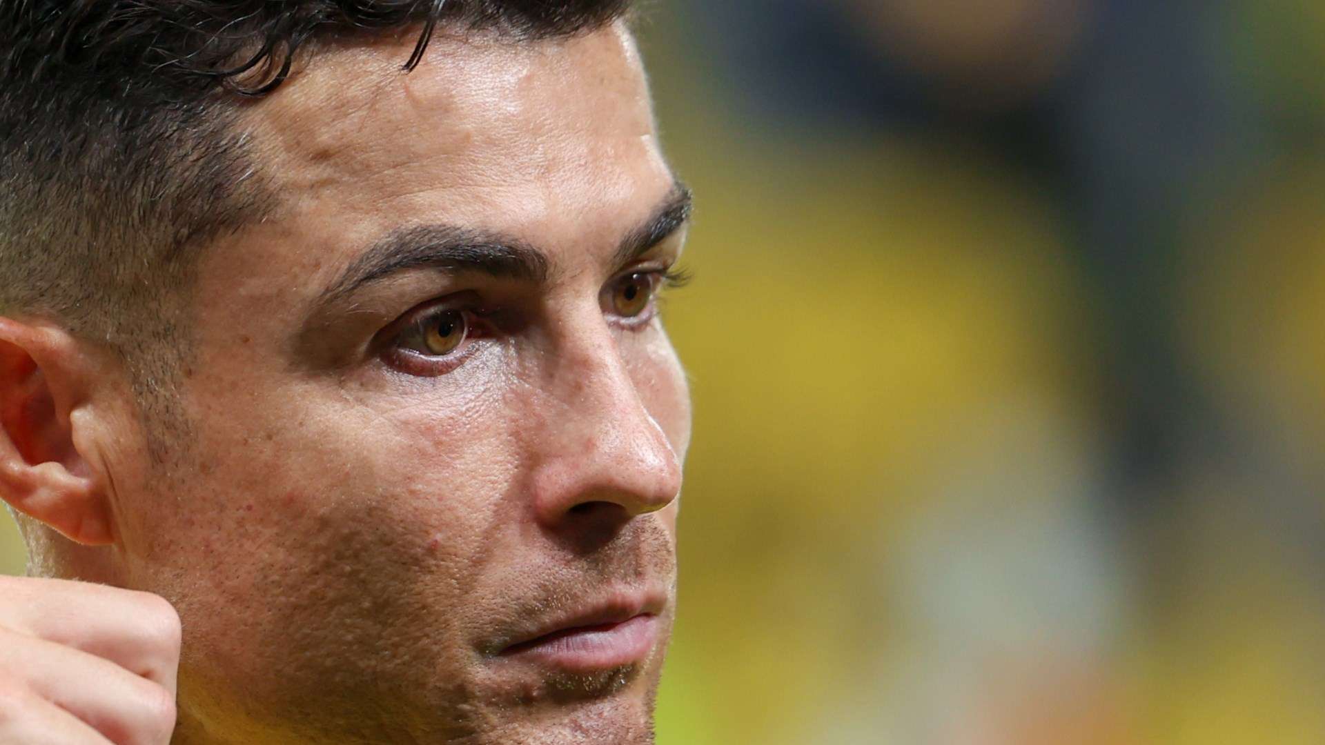 在最近举行 在最近举行